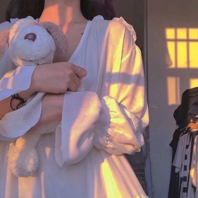 菜鸟老警第七季